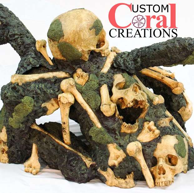 Custom Coral Creations | 6879 N Hollywood Blvd, Las Vegas, NV 89115, USA