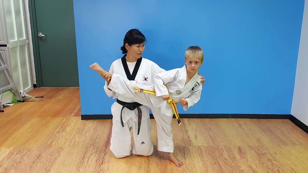 Yang Masters United Taekwondo Center of Spring Hill | 21181 W 223rd St, Spring Hill, KS 66083, USA | Phone: (816) 588-1945