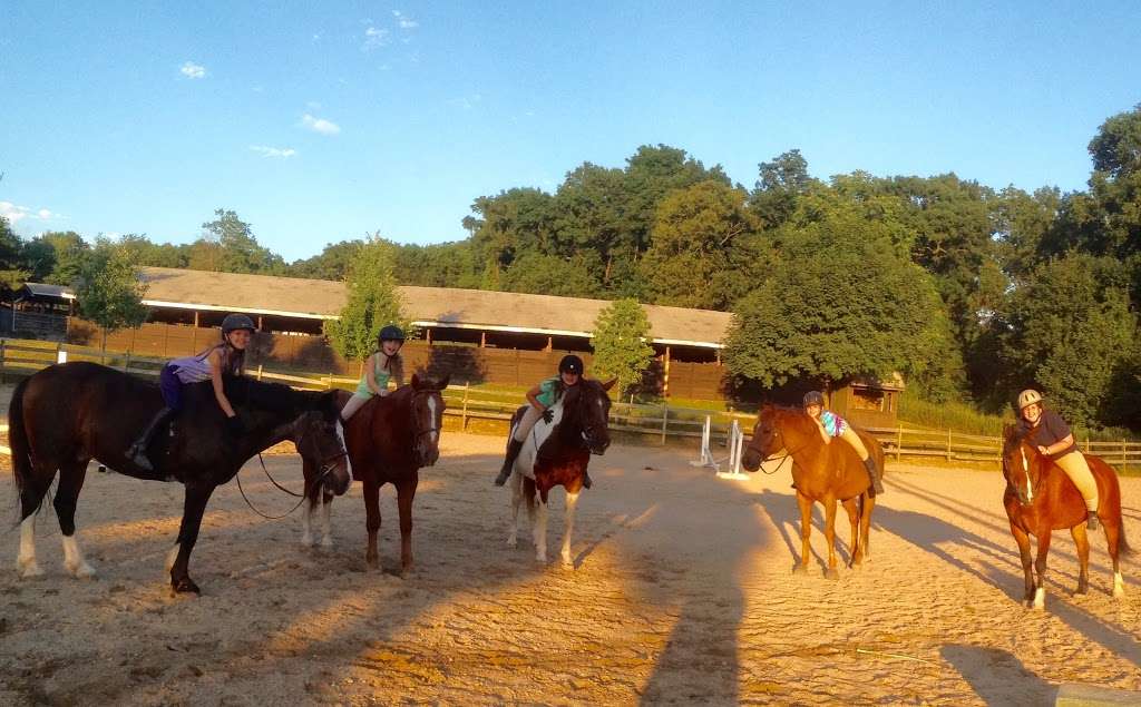 Thomas School Of Horsemanship Summer Day Camp & Riding School | 250 Round Swamp Rd, Melville, NY 11747, USA | Phone: (631) 692-6840