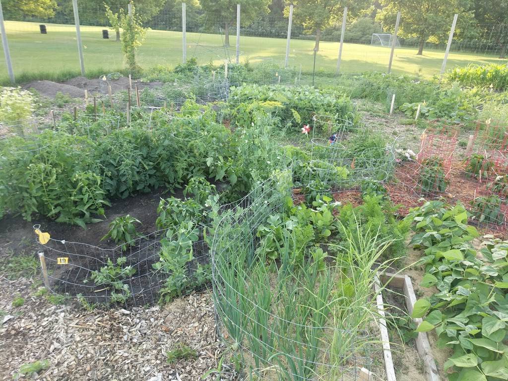 Wolk Park Community Gardens | Fellowship Ln, Burnsville, MN 55337, USA | Phone: (952) 895-4500