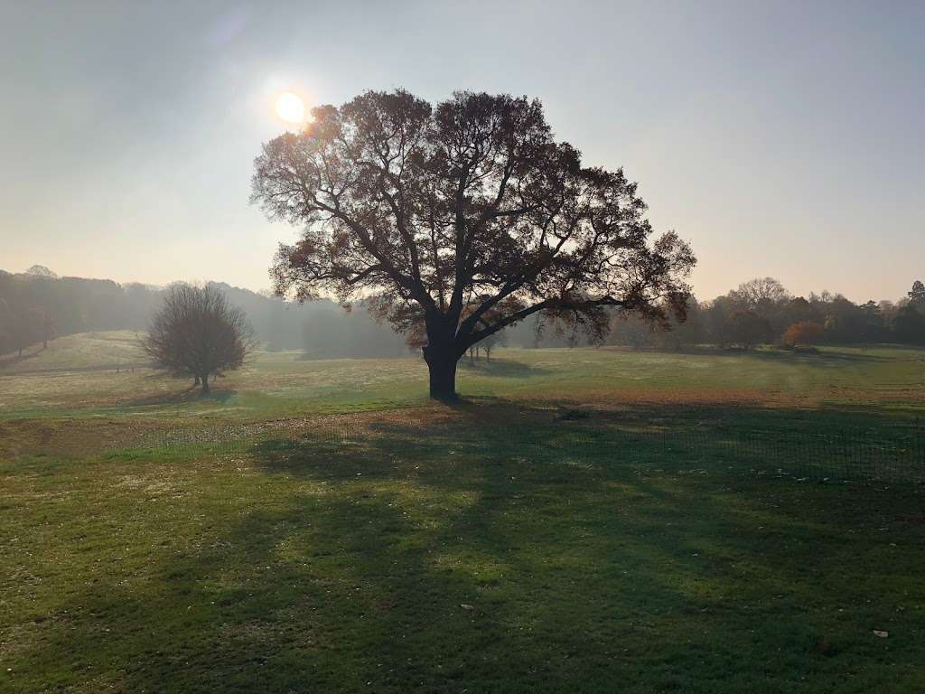 Bromley Mindfulness at The Mansion | The Mansion Beckenham Place Park, Beckenham Hill Rd, Beckenham BR3 1SY, UK | Phone: 07590 489993