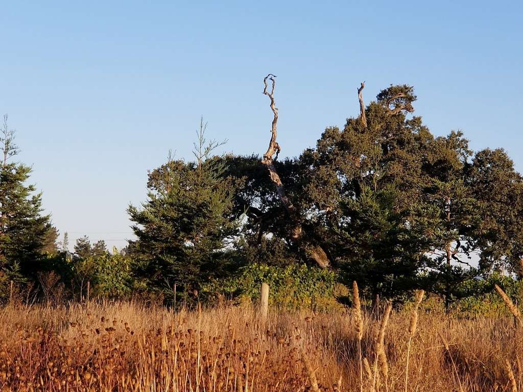 North Kelly Farm Trailhead | 5420 Occidental Rd, Santa Rosa, CA 95401, USA | Phone: (707) 433-1625