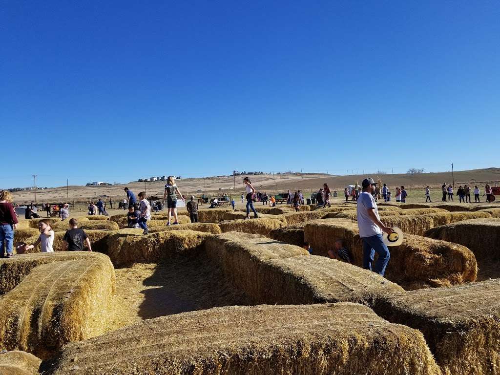 Carolyn Holmberg Preserve at Rock Creek Farm | 1449 Dunsford Way, Broomfield, CO 80020, USA | Phone: (303) 678-6200