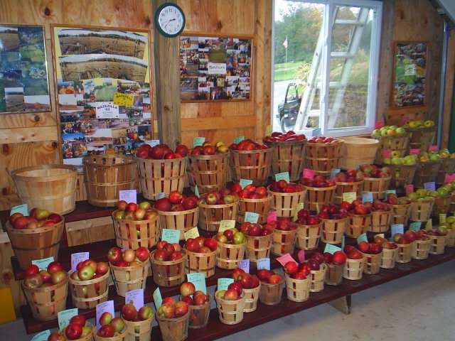 Mazezilla Corn Maze at Klingels Farm and Produce Stand | 415 State Rte 115, Saylorsburg, PA 18353, USA | Phone: (570) 402-7378