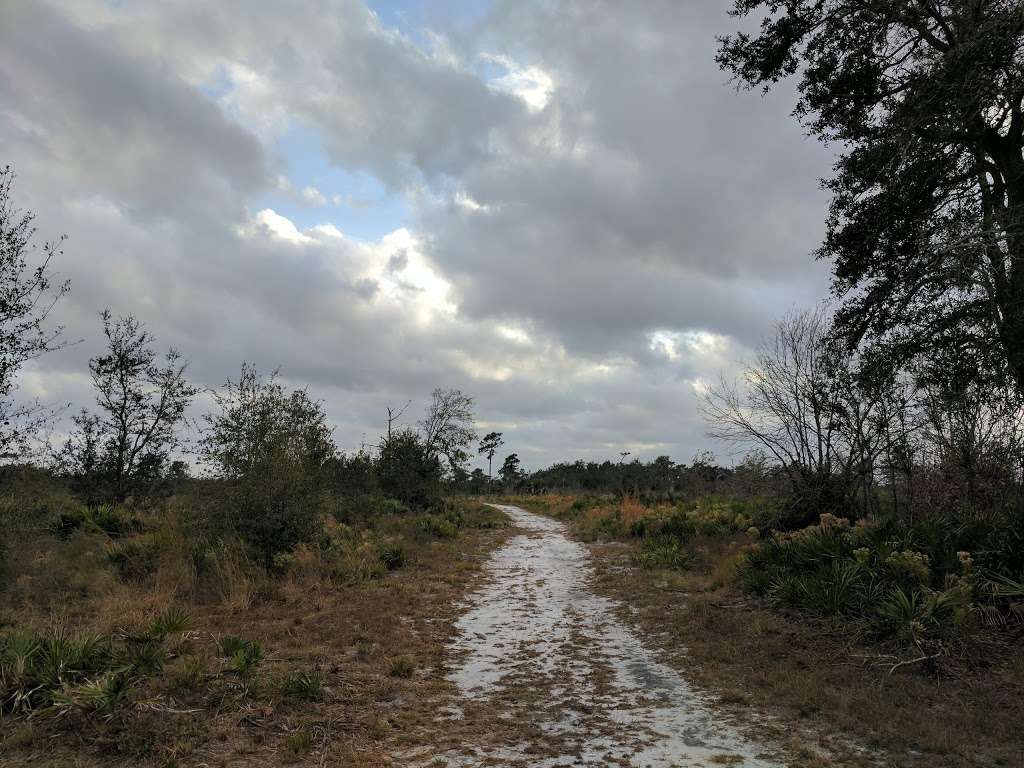 Lakeland Highlands Scrub | 6998 Lakeland Highlands Rd, Lakeland, FL 33813, USA | Phone: (863) 534-7377