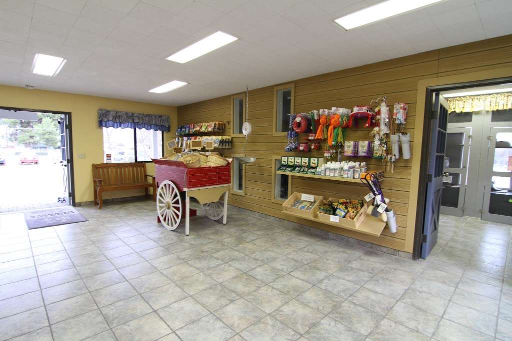 Country Kennels | 25817 Washington Ave, Murrieta, CA 92562, USA | Phone: (951) 677-6031