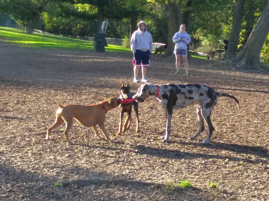 Mt. Airy Dog Park | 3006 Westwood Northern Blvd, Cincinnati, OH 45211, USA | Phone: (513) 352-4080