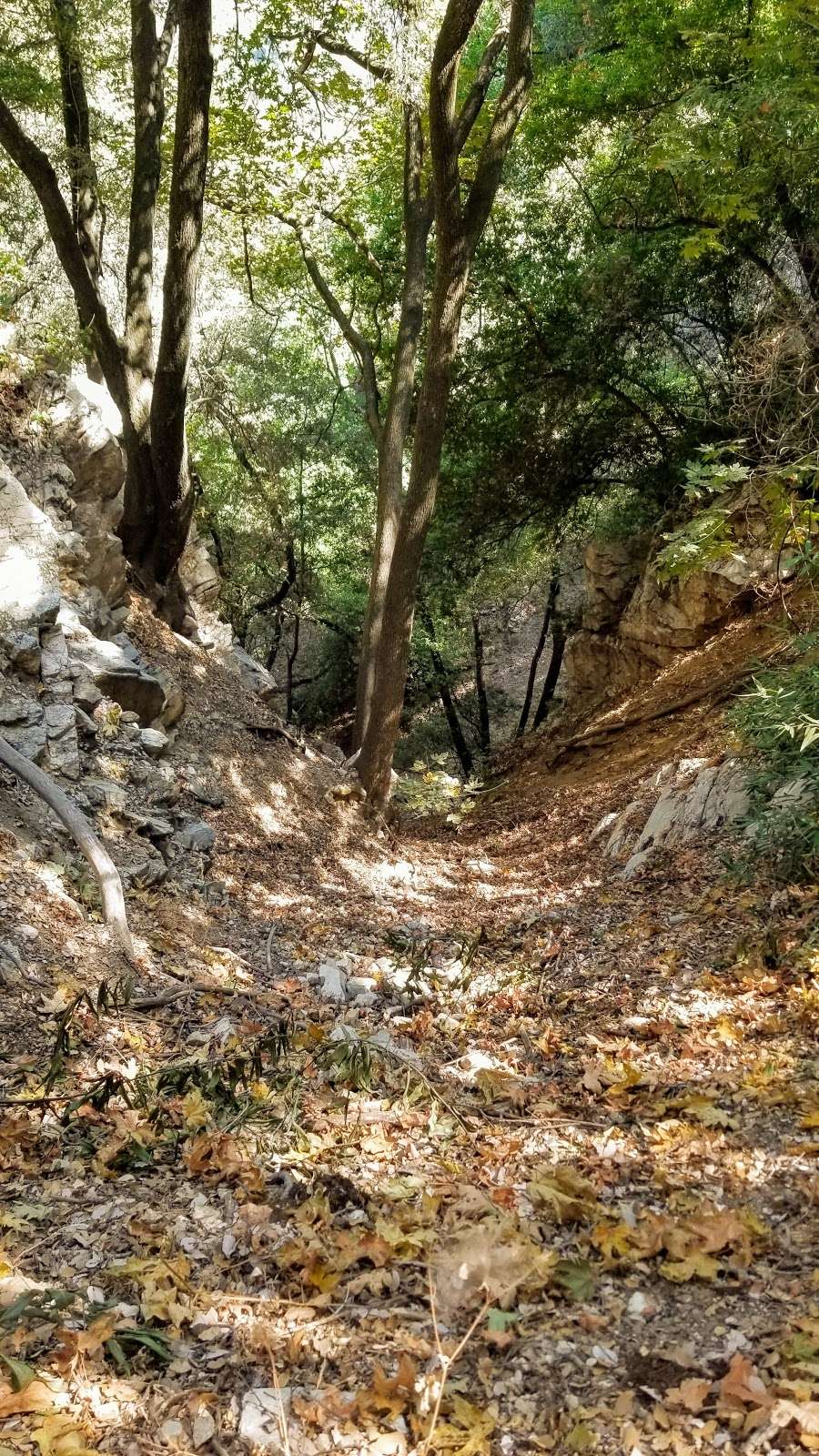 Mt Zion & Sturtevant Trail | Mt Zion Trail, Sierra Madre, CA 91024, USA