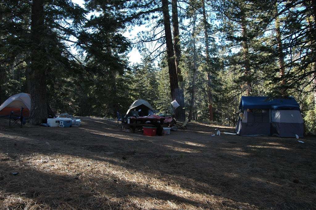 Mount Pinos Campground | Cuddy Valley Rd, Frazier Park, CA 93225, USA | Phone: (805) 434-1996