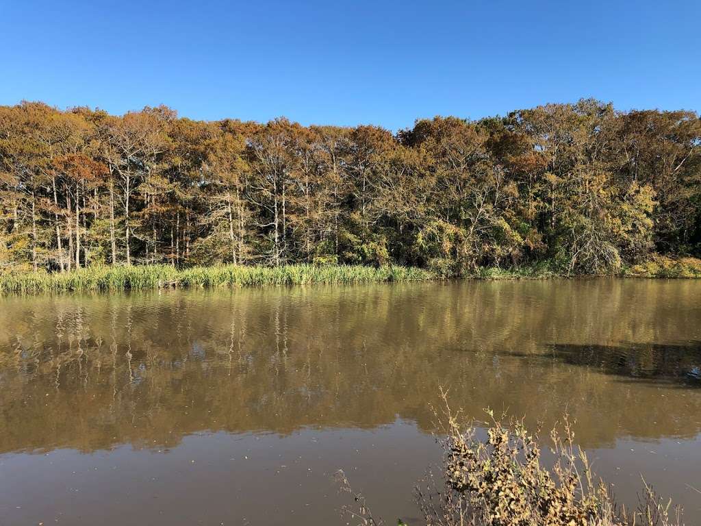 Turtle Bayou Nature Preserve | Wallisville, TX 77597, USA