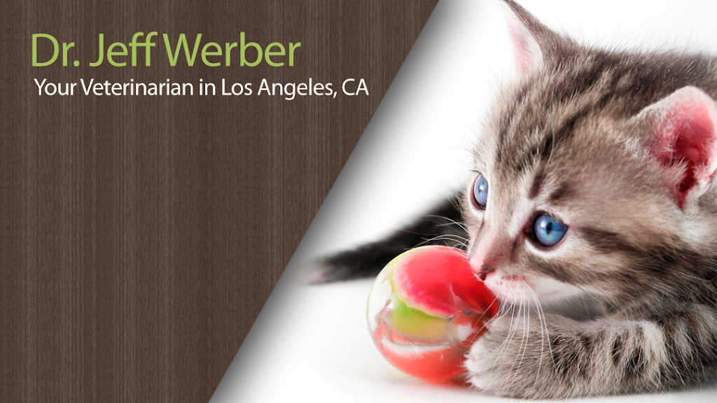 Dr. Jeff Werber | 8750 Venice Blvd, Los Angeles, CA 90034 | Phone: (310) 559-2500