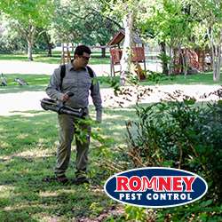 Romney Pest Control 17170 Jordan Rd Suite 302 Selma Tx 78154 Usa