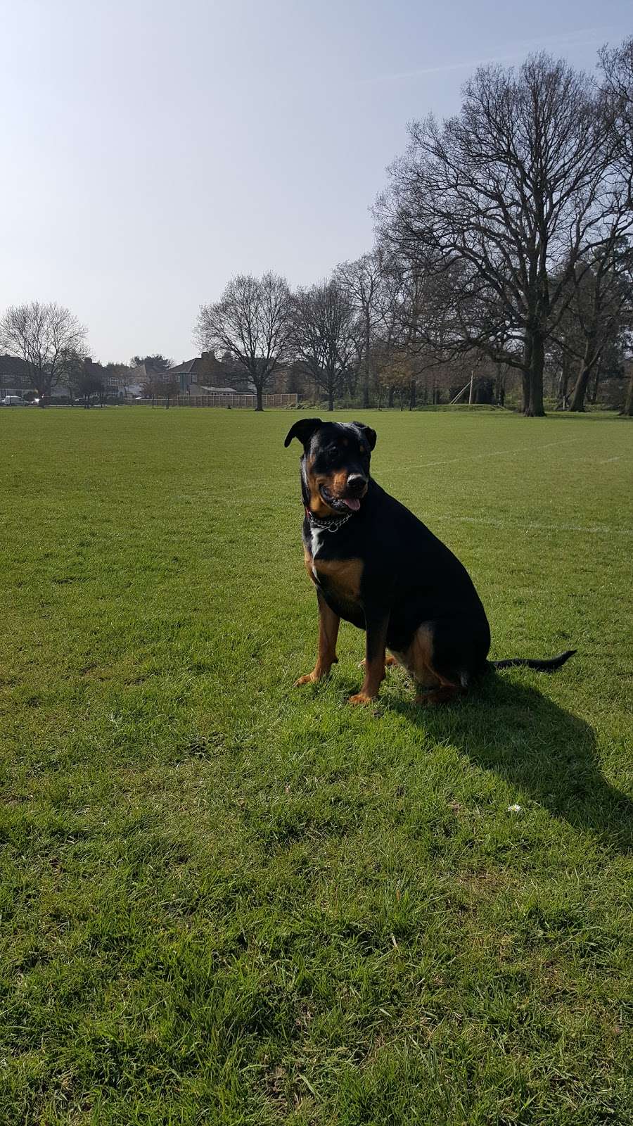 Parkfields Recreation Ground | 66 Cheston Ave, Croydon CR0 8DB, UK | Phone: 020 8726 6900