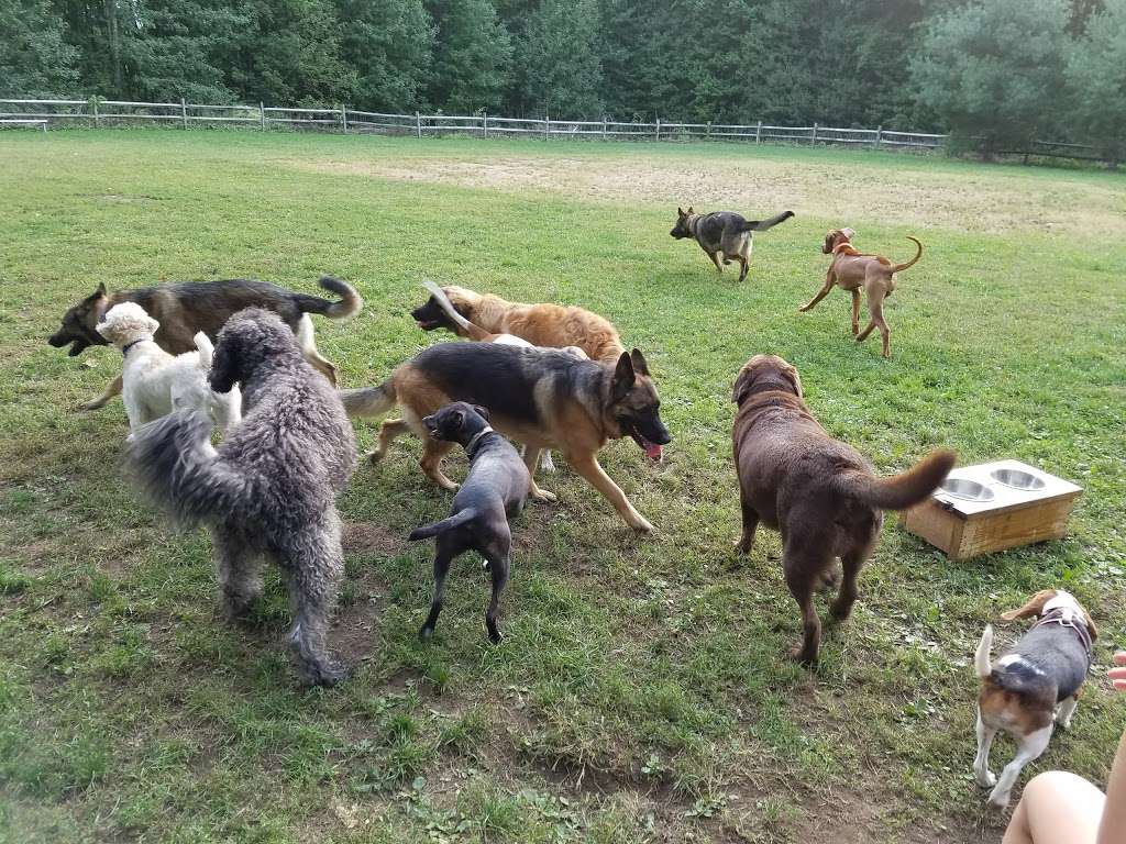 Easton Dog Park | 360 Sport Hill Rd, Easton, CT 06612