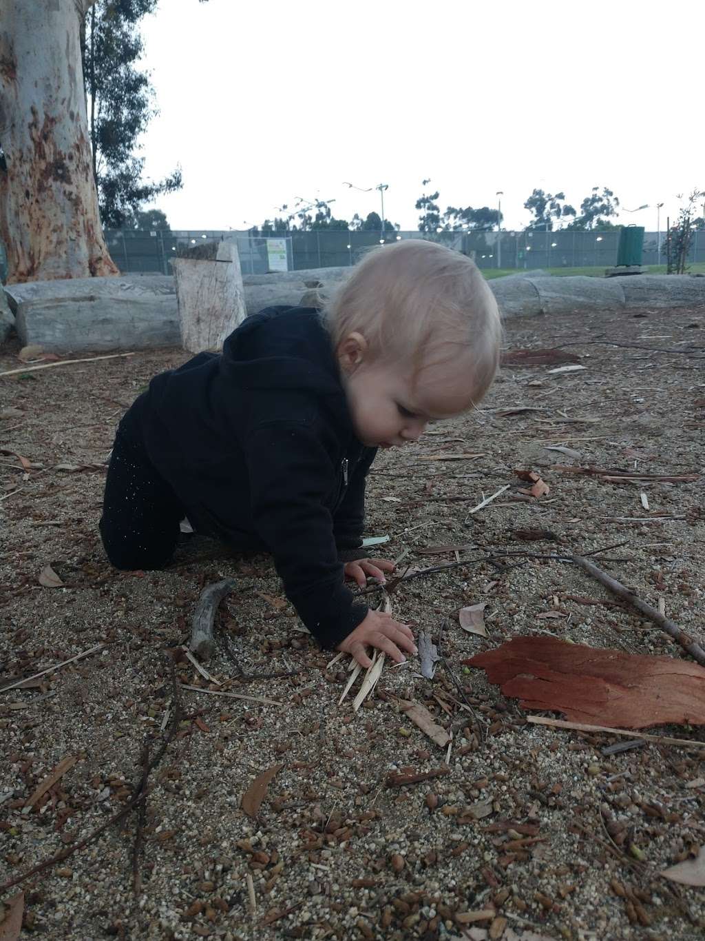 Nature Exploration Area | San Diego, CA 92104, USA