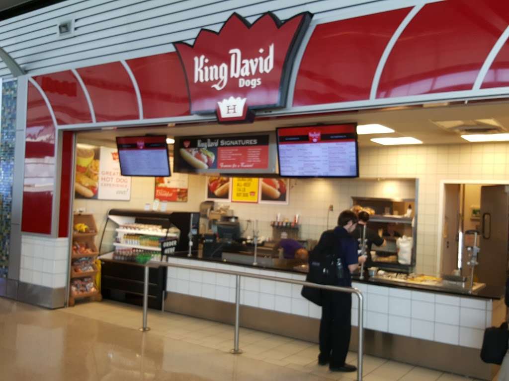King David Dogs | 7800 Col. H. Weir Cook Memorial Dr, Indianapolis, IN 46241, USA