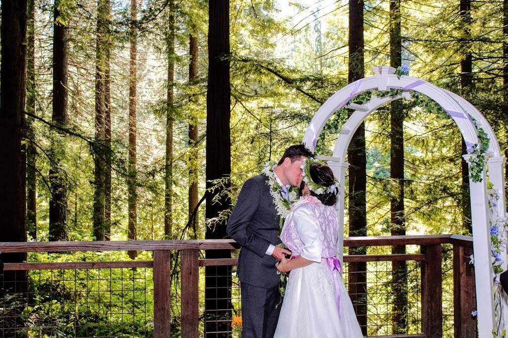 Redwood Observation Deck | Wildwood Trail, Portland, OR 97205, USA | Phone: (503) 865-8733