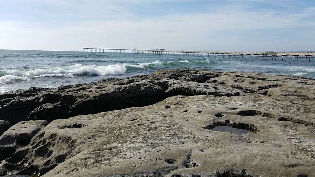 Ocean Beach Tide Pools | 1779 Ocean Front St, San Diego, CA 92107, USA