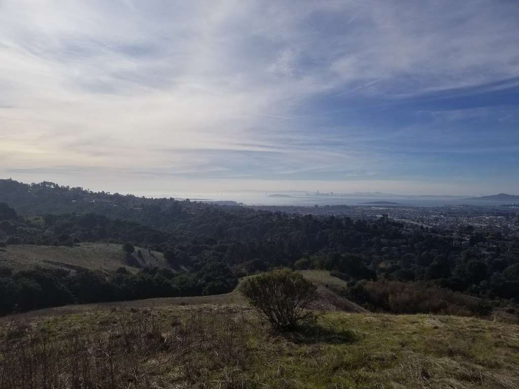 Wildcat upper entrance | Mccosker Trail, Richmond, CA 94803