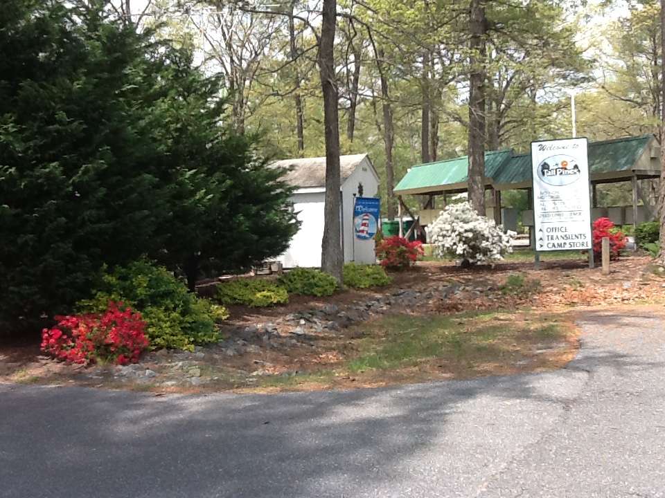 Tall Pines Campground Resort | 29551 Persimmon Rd, Lewes, DE 19958, USA | Phone: (302) 684-0300