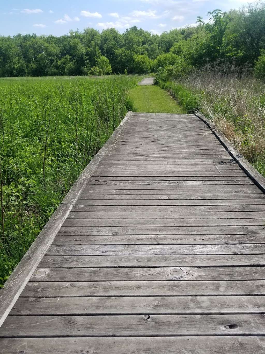 Tuttle Clarkson Natural Area | 100-114 E Grove St, Poplar Grove, IL 61065, USA