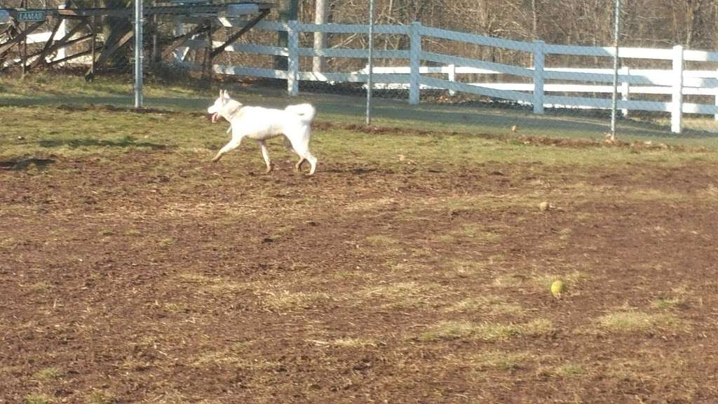 Danielle Ruiz-Murphy Center for Animal Welfare and Dog Park | 503 S Center Rd, Birdsboro, PA 19508, USA | Phone: (610) 921-2348