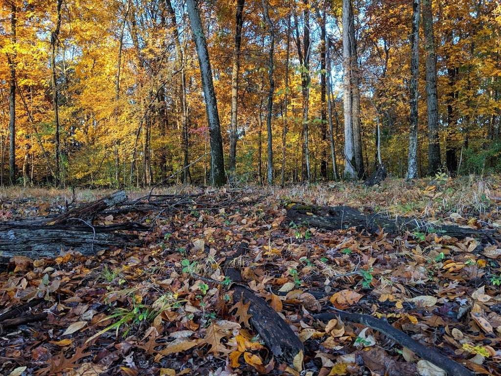 Darrell Green Boulevard | Sully Rd, Sterling, VA 20166