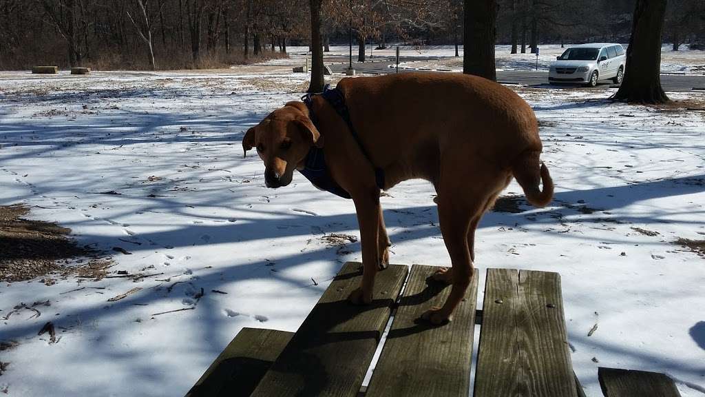 Blue River Parkway Trailhead and Minor Park Tennis Courts | 11500-, 11692 Blue River Rd, Kansas City, MO 64137