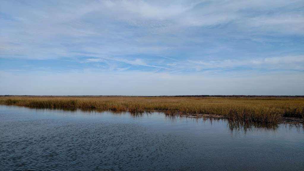 Egg Island Fish and Wildlife Management Area | Fortescue, NJ 08321