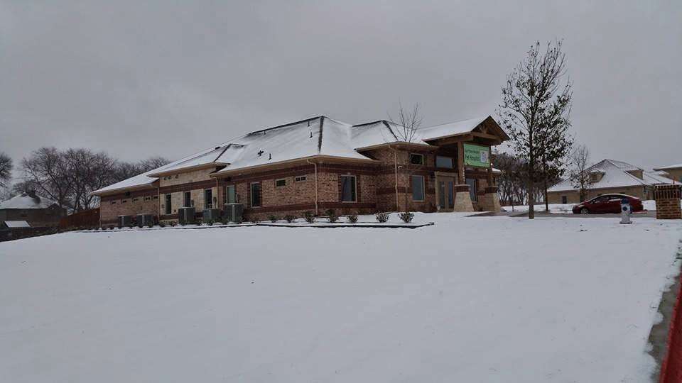 East Plano Murphy Pet Hospital | 627 FM 544, Murphy, TX 75094, USA | Phone: (972) 516-0717 East Plano Murphy Pet Hospital | 627 FM 544, Murphy, TX 75094, USA | Phone: (972) 516-0717