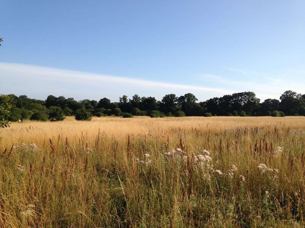 Eden Valley Woodland Burial Ground | Crouch House Road, Edenbridge TN8 5LG, UK | Phone: 01732 860109