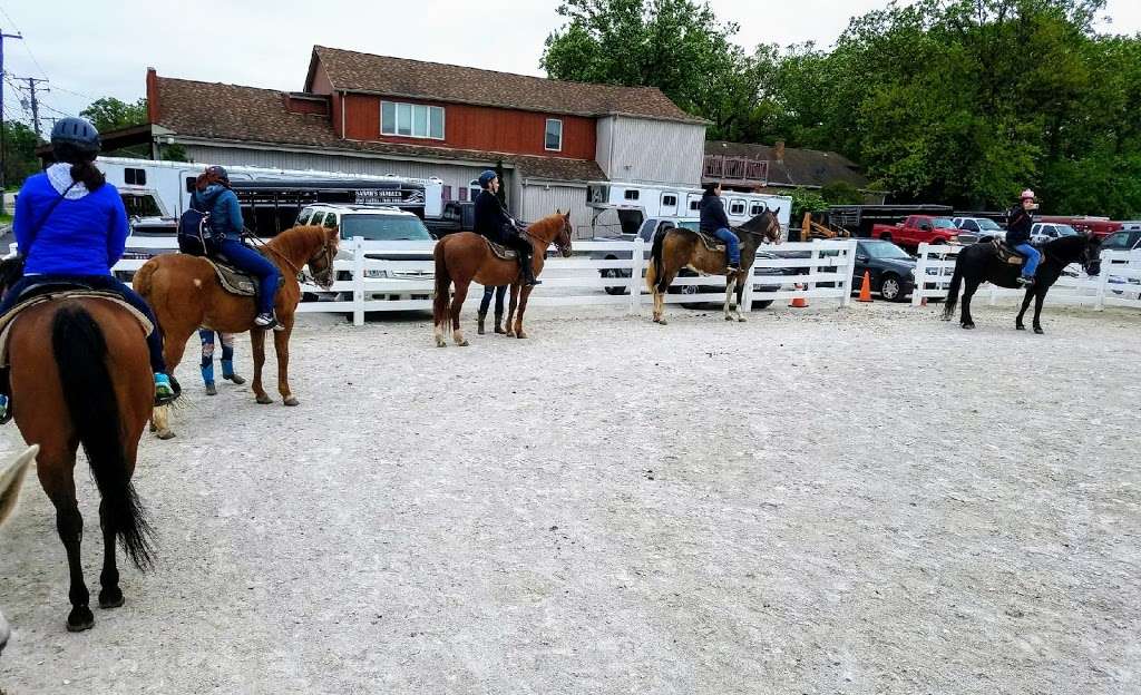 Sarahs Pony Rides | 8220 S Kean Ave, Willow Springs, IL 60514 | Phone: (630) 802-1316