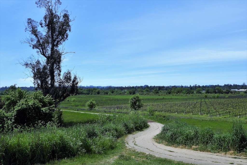 North Kelly Farm Trailhead | 5420 Occidental Rd, Santa Rosa, CA 95401, USA | Phone: (707) 433-1625