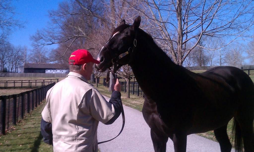 Horses of Kentucky | 333 Duke Rd, Lexington, KY 40502 | Phone: (859) 277-4625