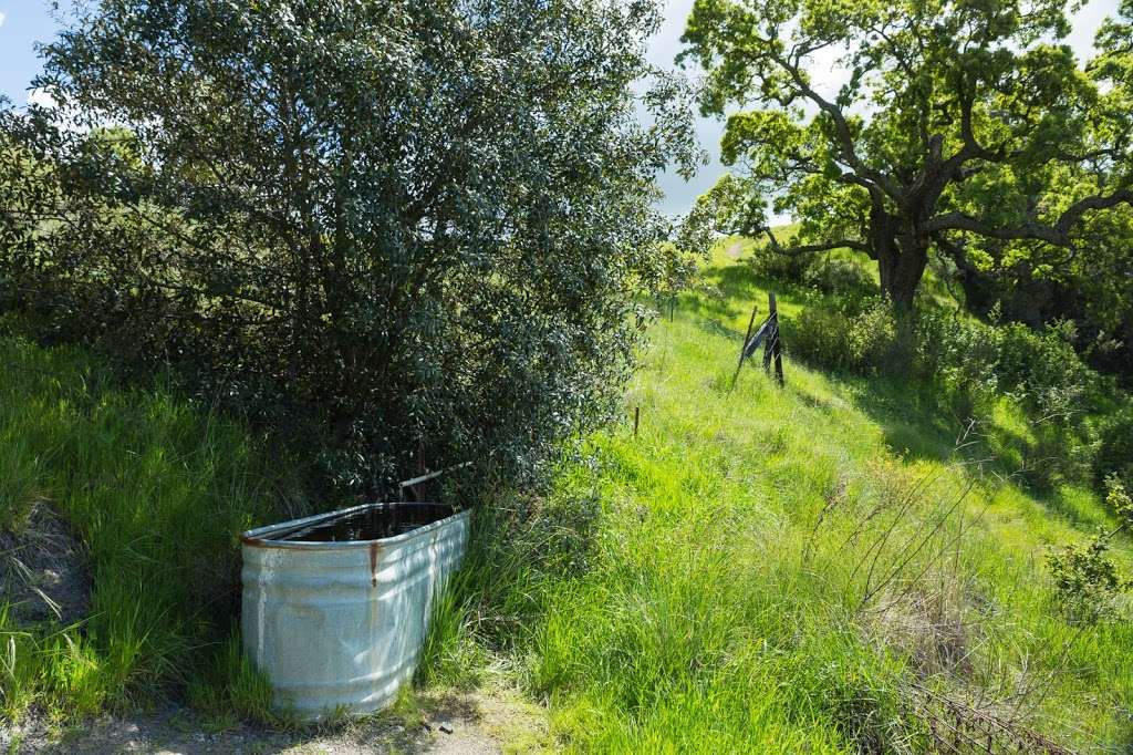 Hawks Nest Backpack Camp | Sunol, CA 94586, USA