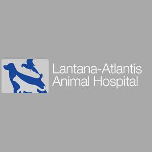 Lantana-Atlantis Animal Hospital | 3530 Lantana Rd, Lake Worth, FL 33462, USA | Phone: (561) 439-0694