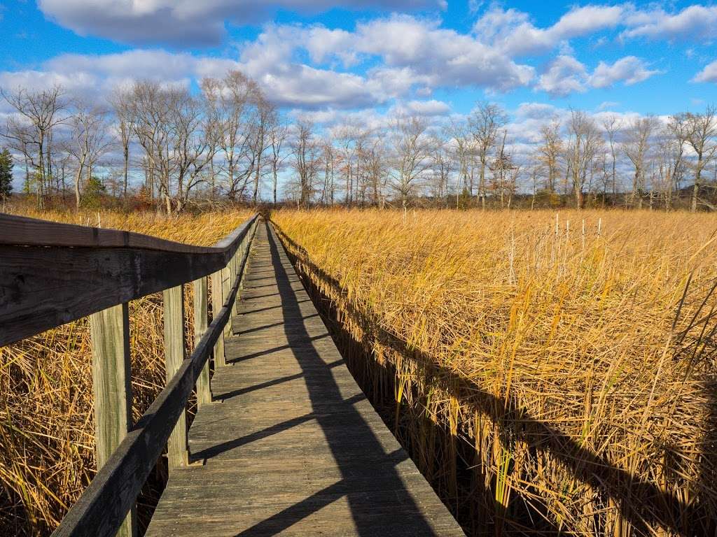 Jug Bay Wetlands Sanctuary | 9740, 1361 Wrighton Rd, Lothian, MD 20711, USA | Phone: (410) 741-9330