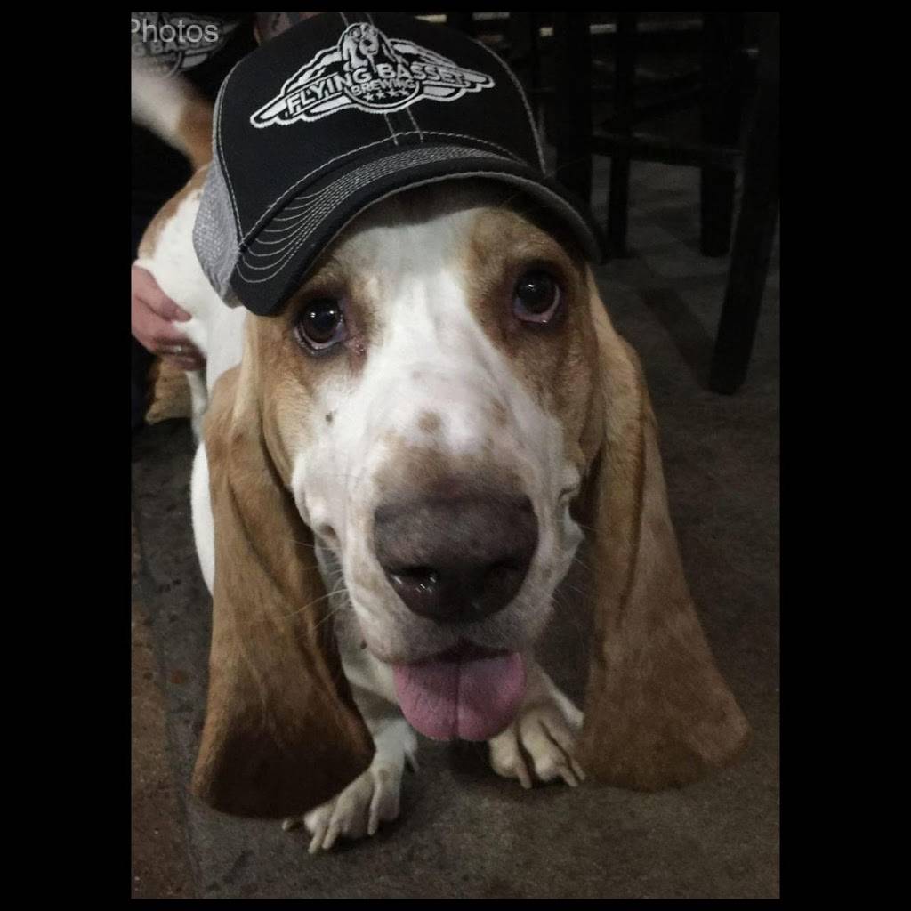 Flying Basset Brewing | 720 W Ray Rd, Gilbert, AZ 85233, USA | Phone: (480) 426-1373