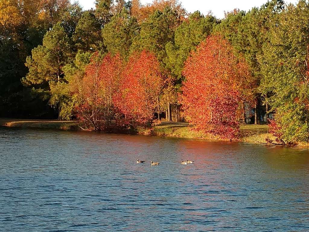 Terrapin Nature Park | 191 Log Canoe Cir, Stevensville, MD 21666, USA | Phone: (410) 758-0835