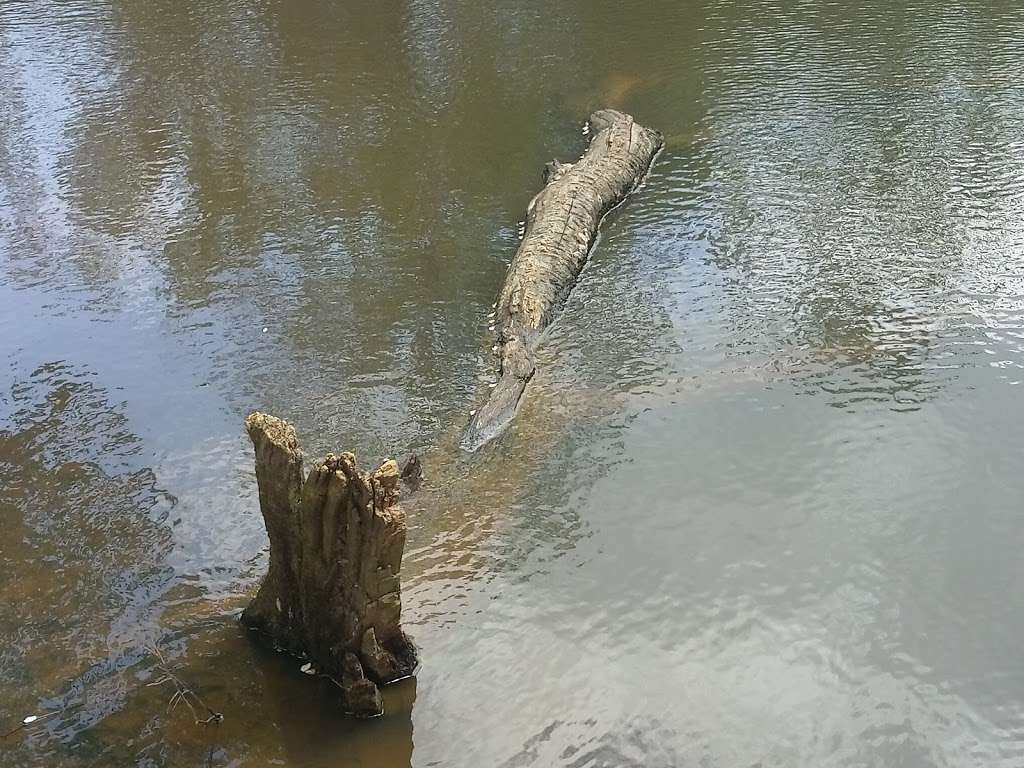 Loughton Brook Storage Pond | 5 Staples Rd, Loughton IG10 1HP, UK