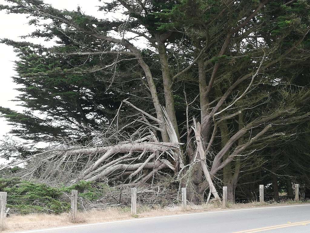 Bonita Lighthouse Parking | Mill Valley, CA 94941, USA