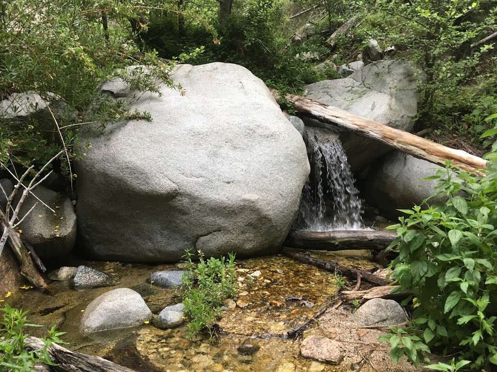 Bear canyon campground | Altadena, CA 91001, USA