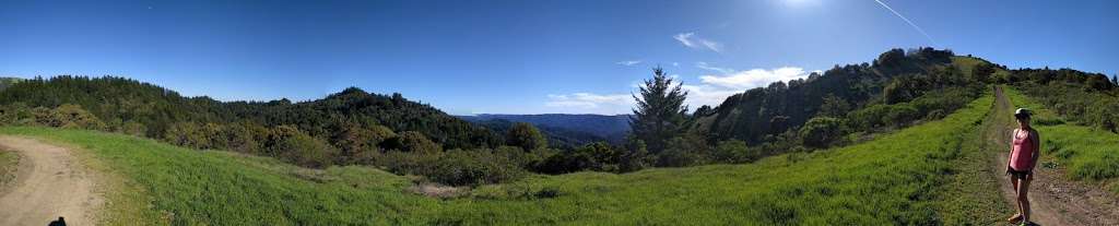 Skyline Ridge Open Space Preserve | 330 Distel Cir, Los Altos, CA 94022, USA | Phone: (650) 691-1200