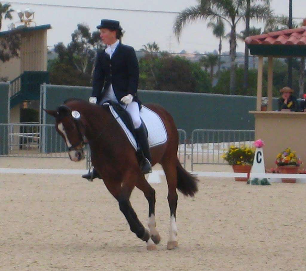 Mega Arte Riding Academy | 20767 Fortuna Del Norte, Escondido, CA 92029, USA | Phone: (760) 822-4778