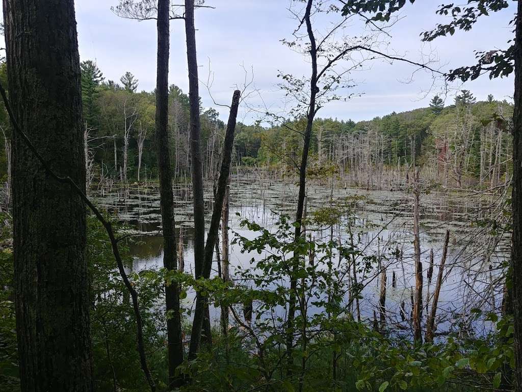 Georgetown-Rowley State Forest | Rte. 97, Georgetown, MA 01833, USA | Phone: (978) 887-5931