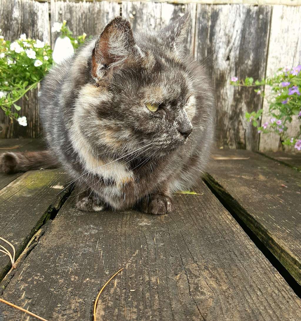 Half Moon Bay Nursery 11691 San Mateo Rd, Half Moon Bay, CA 94019