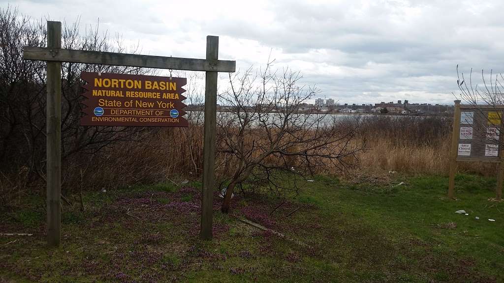 Norton Basin Natural Resource Area | 32-31 Healy Ave, Far Rockaway, NY 11691, USA