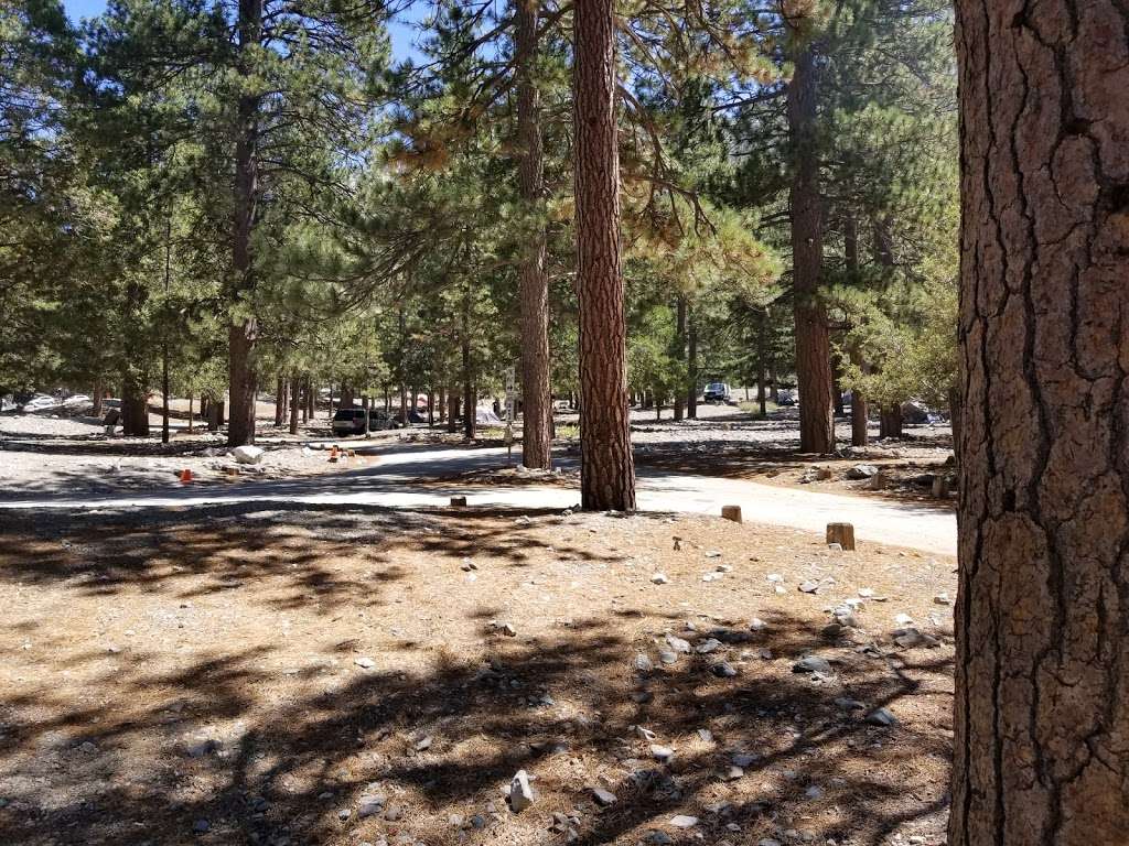 Manker Campground | Mt Baldy, CA 91759, USA | Phone: (909) 982-2829