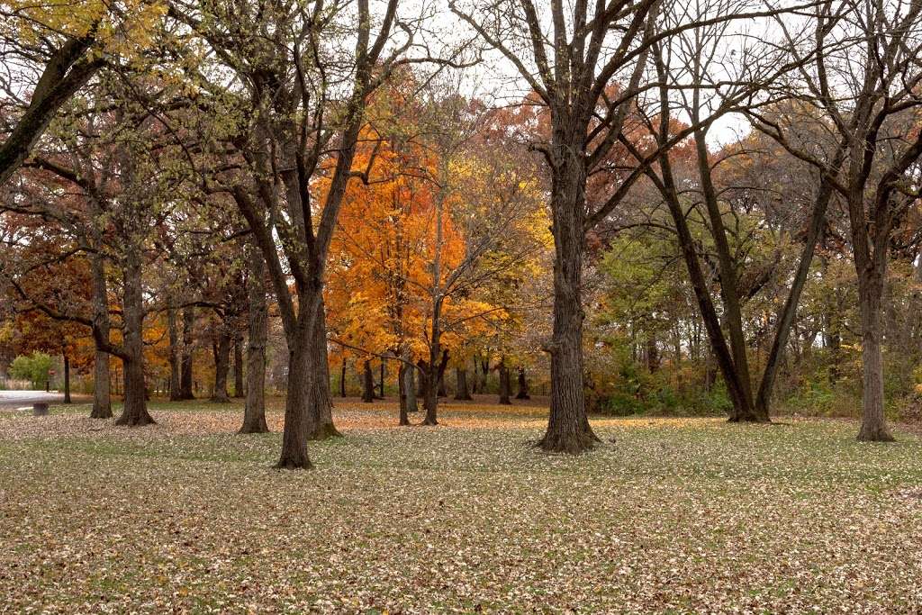 Salt Creek Park Forest Preserve | Wood Dale, IL 60191, USA | Phone: (630) 933-7200