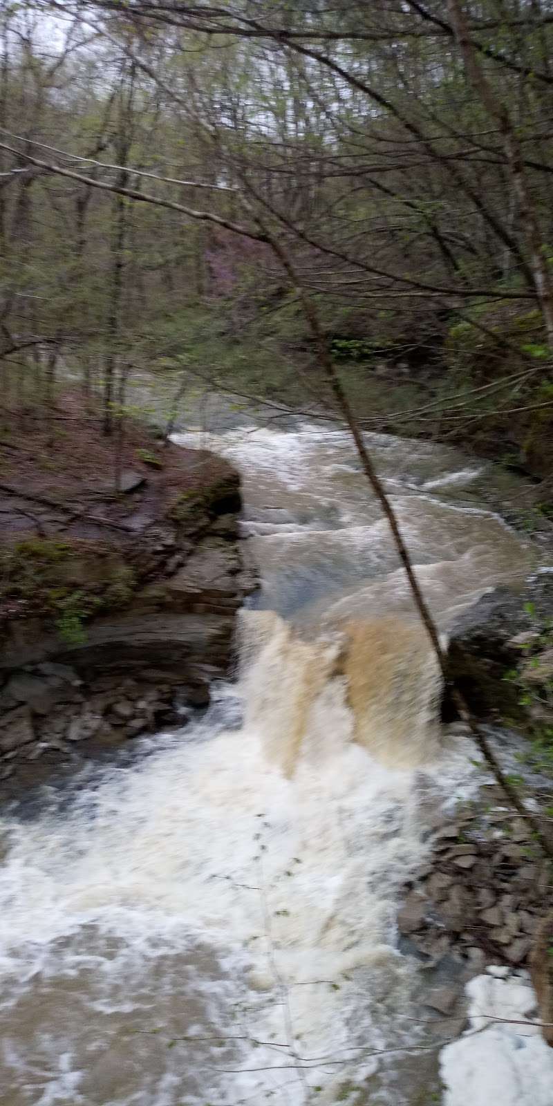 McCormick’s Creek Canyon Falls | Spencer, IN 47460